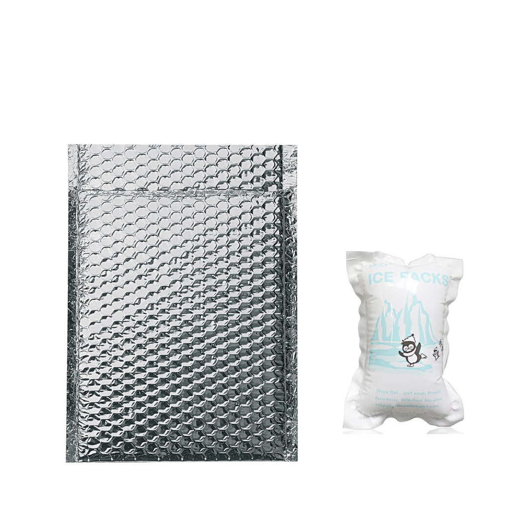 Insulated Shipping Bag + ICE PACK! ❄️